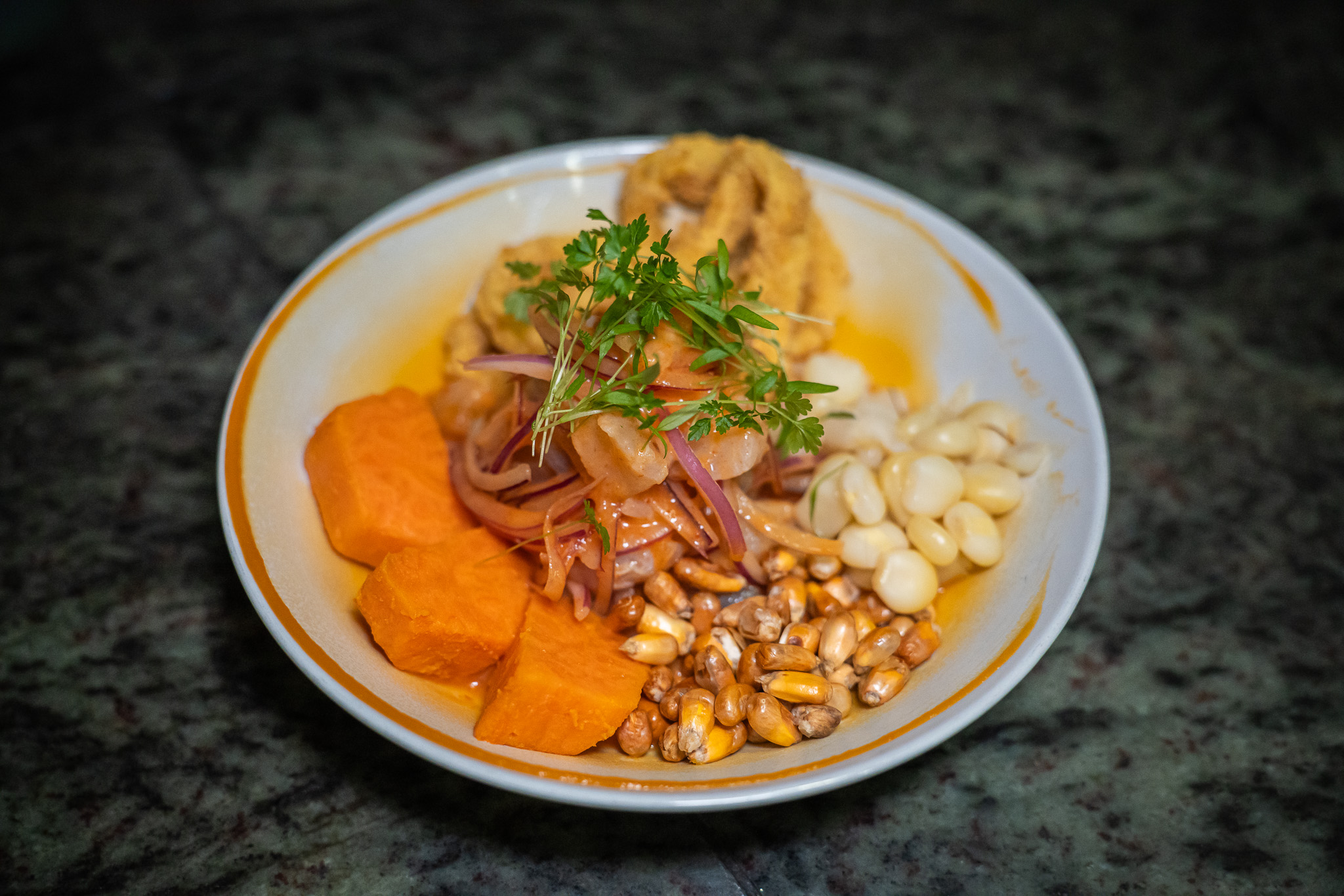 Ceviche food photography